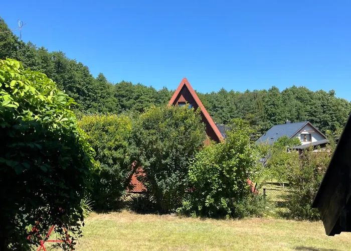 Slonecznego Poranka *